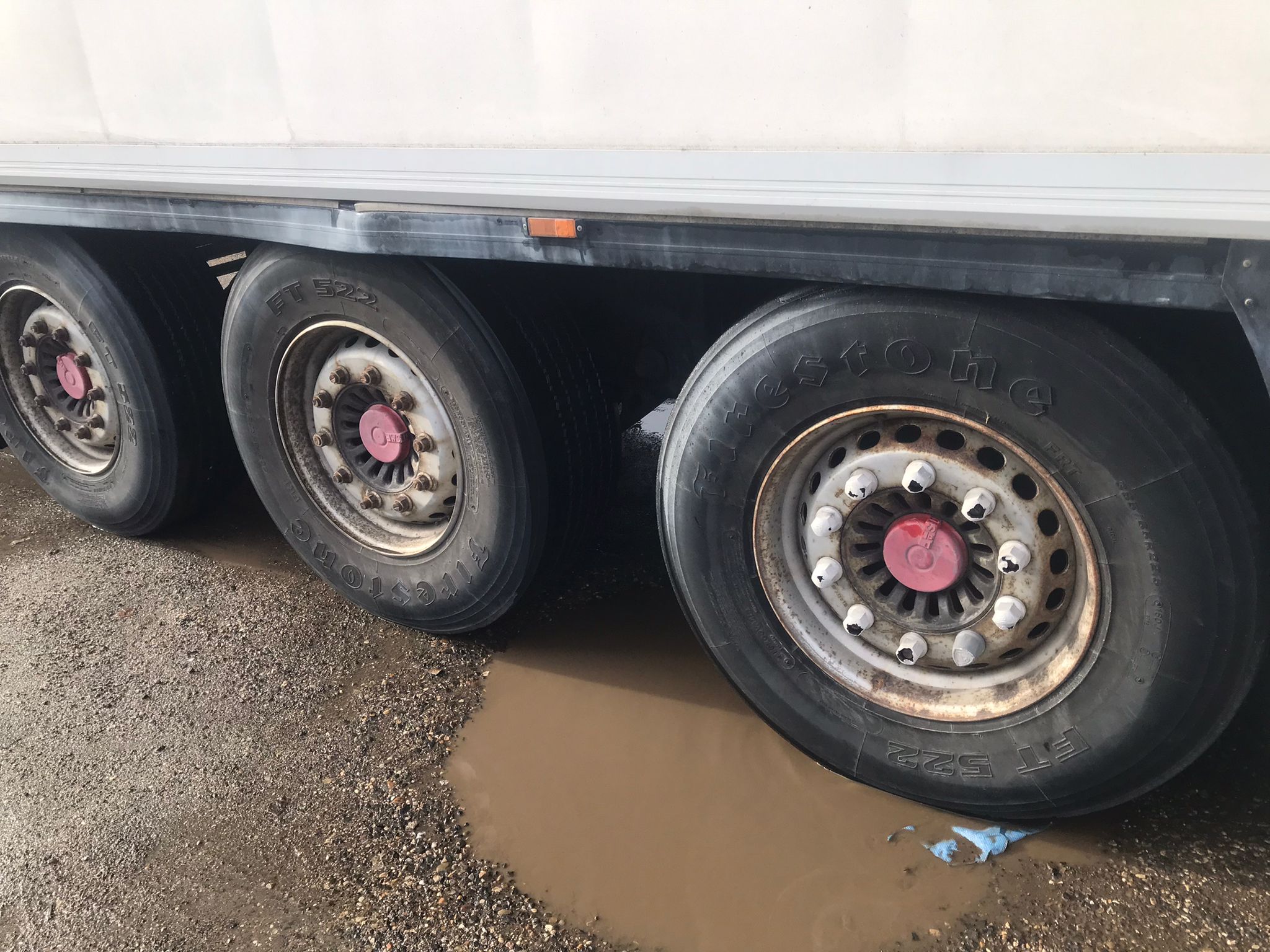 x- VENDIDO - Semirremolque frigorífico Krone Año 2008 - Imagen 10