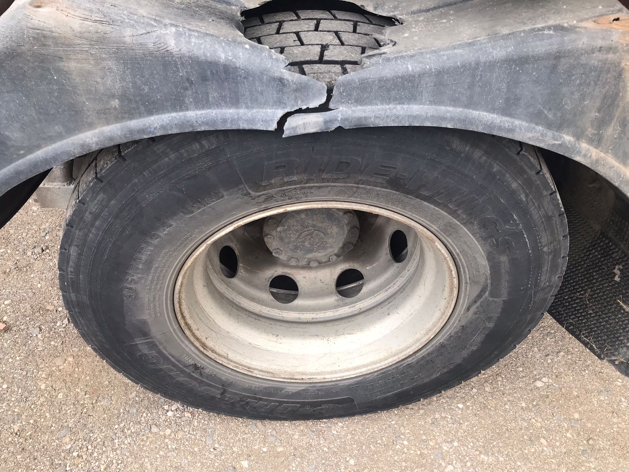 x- VENDIDO - Iveco ML160E25/P portavehículos - 2008 - Imagen 14